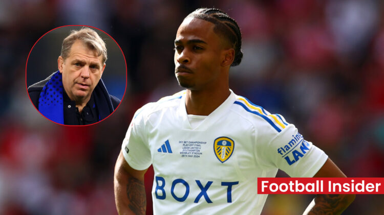 Crysencio Summerville Leeds United Chelsea Todd Boehly
