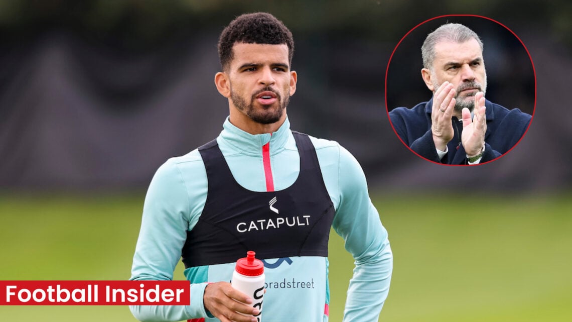 Dominic Solanke Tottenham