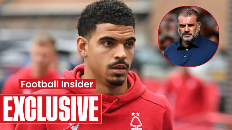 Morgan Gibbs-White Tottenham