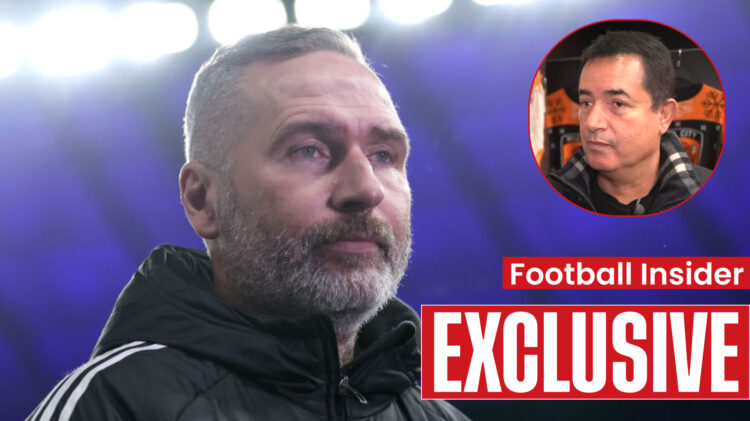 Hull City manager Tim Walter, chairman Acun Ilicali