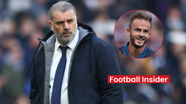 Ange Postecoglou Tottenham James Maddison