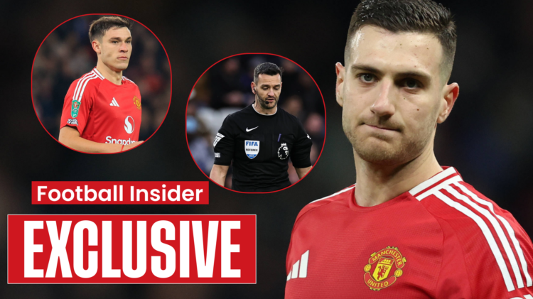 Man United teammates Diogo Dalot and Manuel Ugarte and referee Andy Madley