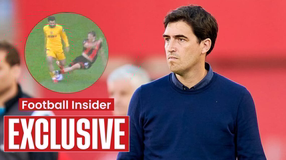 Bournemouth manager Andoni Iraola and Illia Zabarnyi's foul
