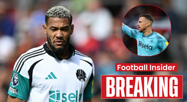 Newcastle United midfielder Joelinton and goalkeeper Martin Dubravka