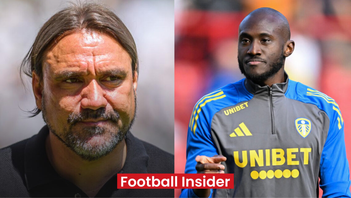 Josuha Guilavogui, Daniel Farke, Leeds United