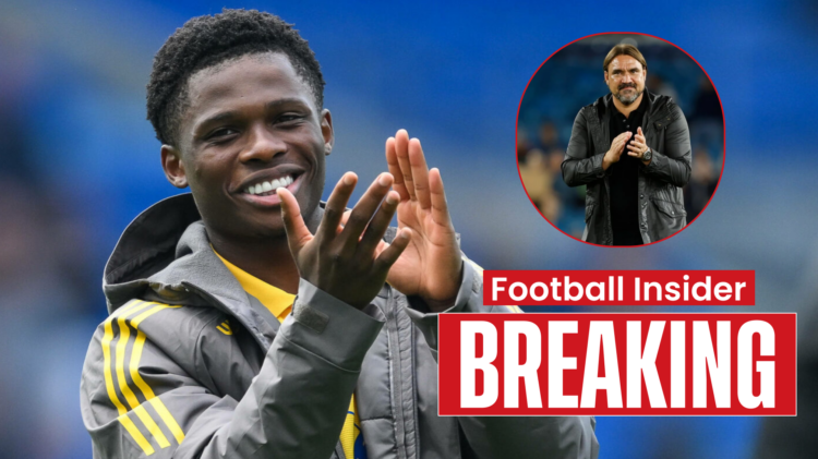 Leeds United Largie Ramazani Daniel Farke