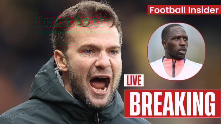 Tom Cleverly Watford Moussa Sissoko