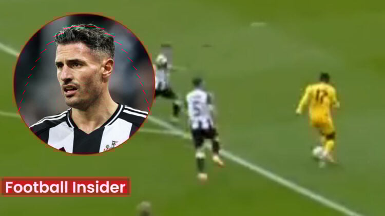 Fabian Schar for Newcastle v Brighton