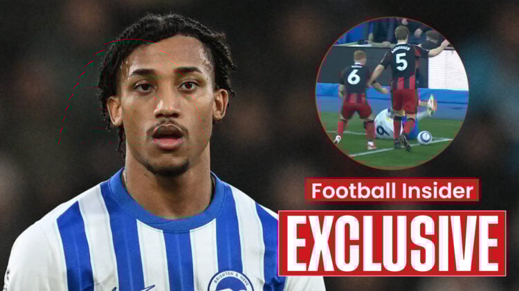 Brighton striker Joao Pedro and Fulham midfielder Harrison Reed