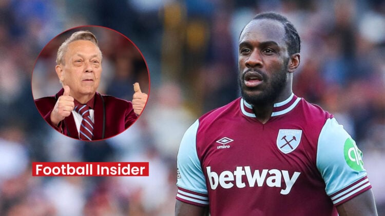 Michail Antonio, David Sullivan, West Ham