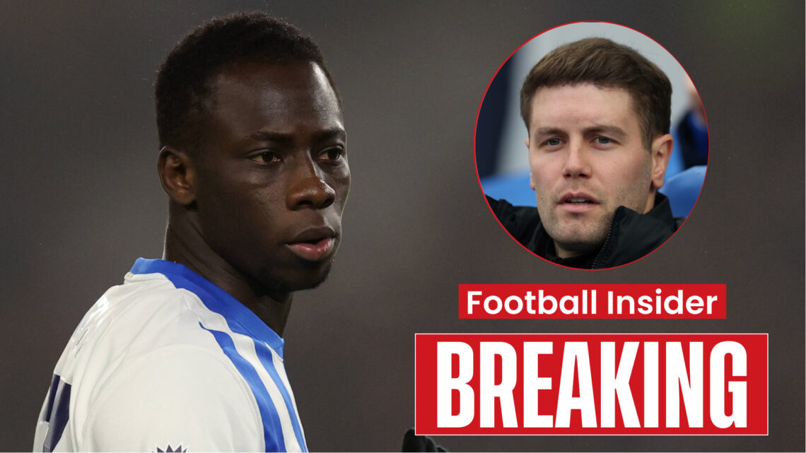 Brighton manager Fabian Hurzeler and Yankuba Minteh