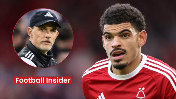 Morgan Gibbs-White, Thomas Tuchel, Nottingham Forest