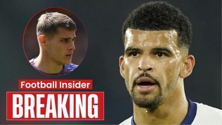 Tottenham stars Micky van de Ven and Dominic Solanke