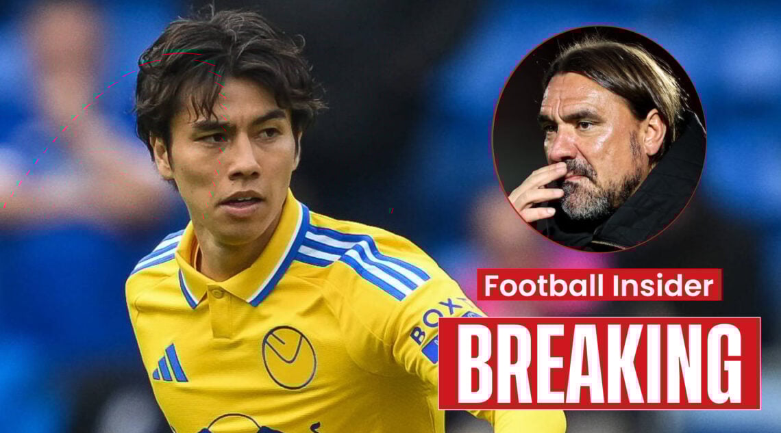 Leeds manager Daniel Farke and midfielder Ao Tanaka