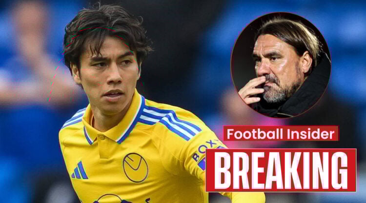 Leeds manager Daniel Farke and midfielder Ao Tanaka