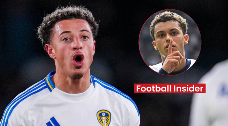 Ethan Ampadu Brennan Johnson, Leeds Tottenham