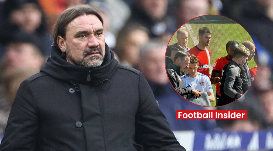 Daniel Farke, Leeds United, Luton Town