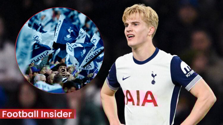 Lucas Bergvall Tottenham fans