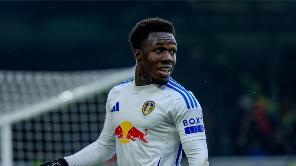 Willy Gnonto Leeds United