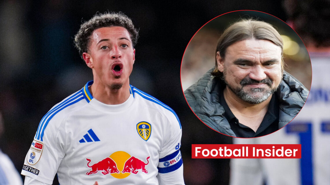 Ethan Ampadu, Daniel Farke