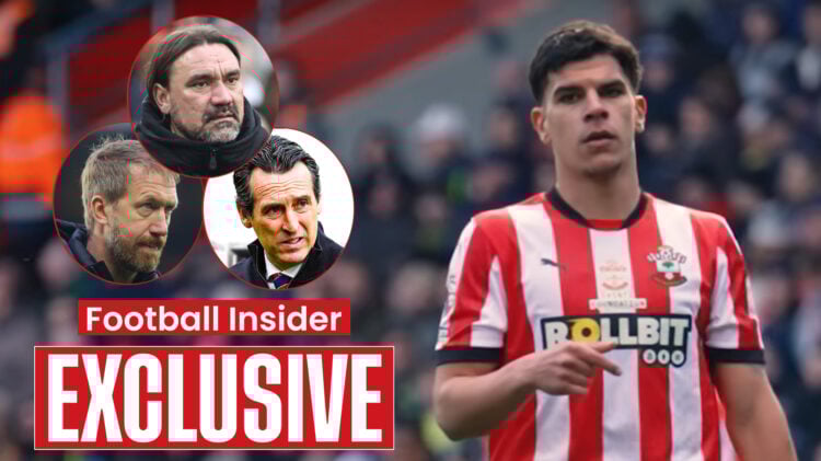 Mateus Fernandes Graham Potter Unai Emery Daniel Farke, West Ham Southampton Aston Villa Leeds