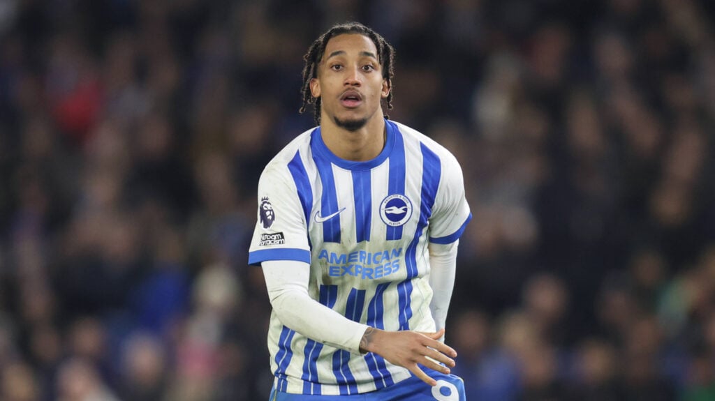 Joao Pedro, Brighton