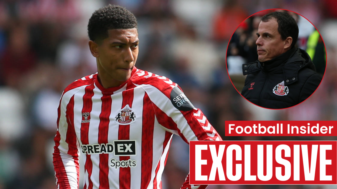 Sunderland's Triumphant Return to the Premier League: A Tactical Overview