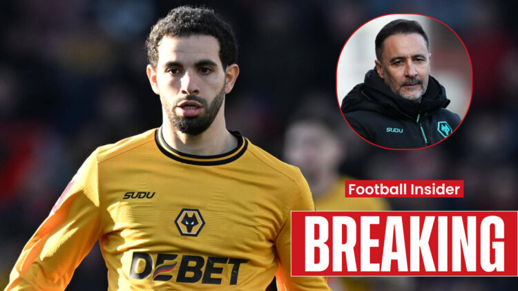 Wolves Ait-Nouri