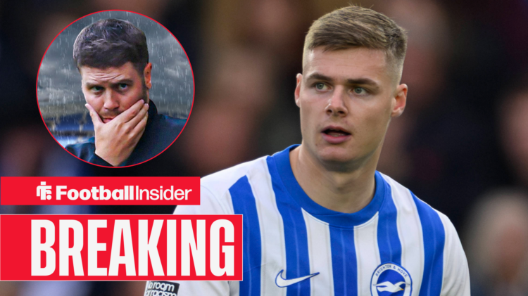 Brighton duo Fabian Hurzeler and Evan Ferguson