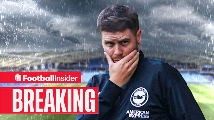 Brighton boss Fabian Hurzeler