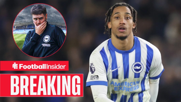 Fabian Hurzeler Joao Pedro Brighton
