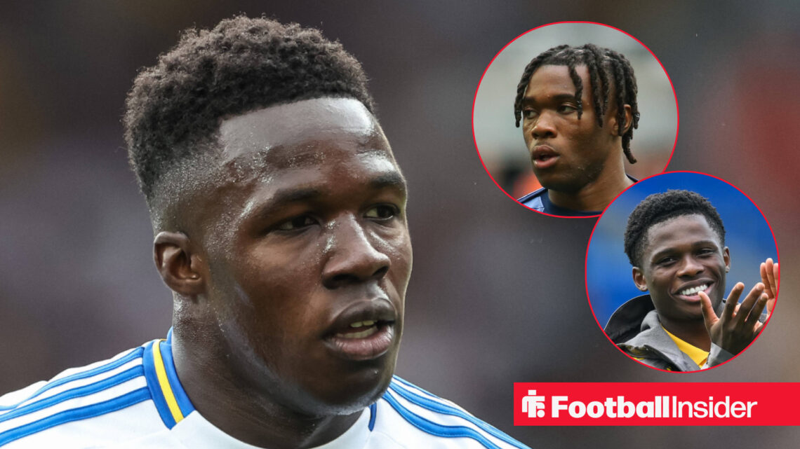 Leeds United, Wilfried Gnonto, Destiny Udogie, Largie Ramazani