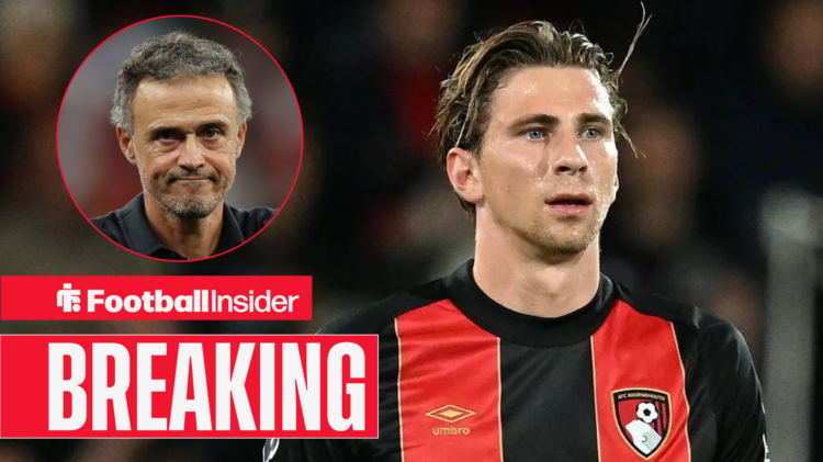 Bournemouth, Ilya Zabarnyi, Luis Enrique, PSG