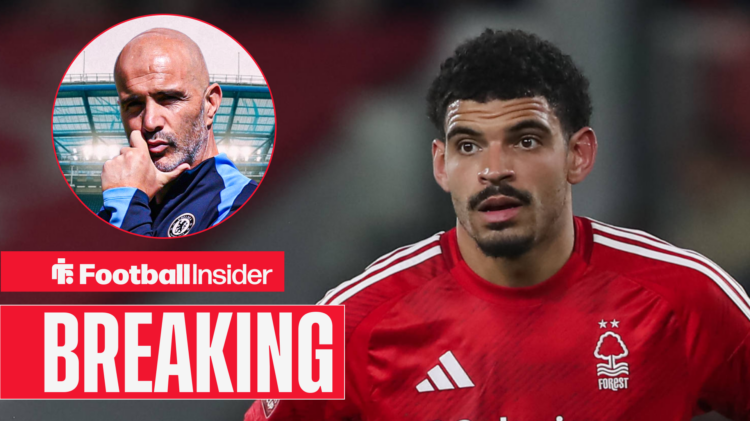 Chelsea boss Enzo Maresca, Morgan Gibbs-White