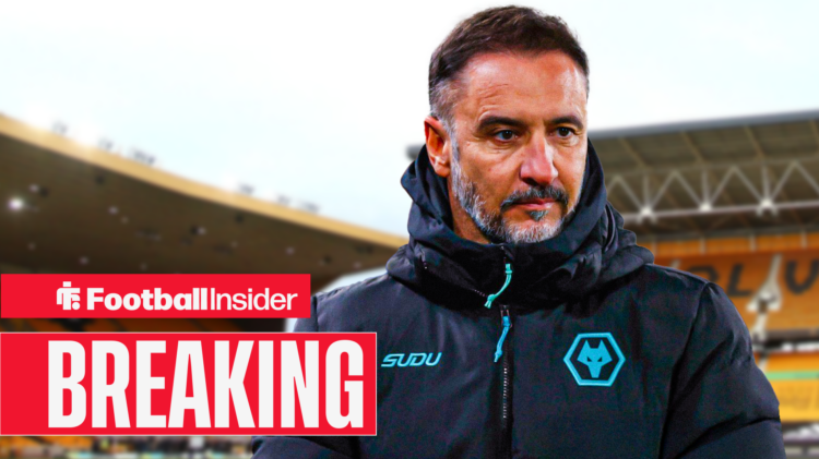 Wolves manager Vitor Pereira