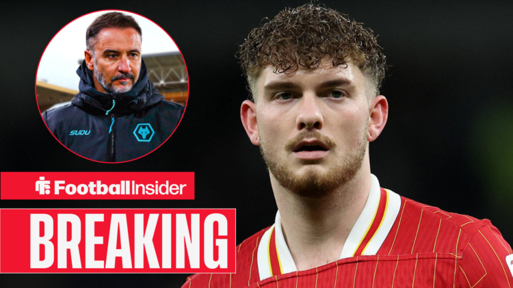 Vitor Pereira Wolves Harvey Elliott