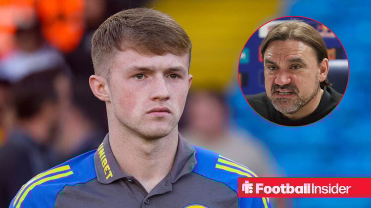 Joe Gelhardt Daniel Farke Leeds United