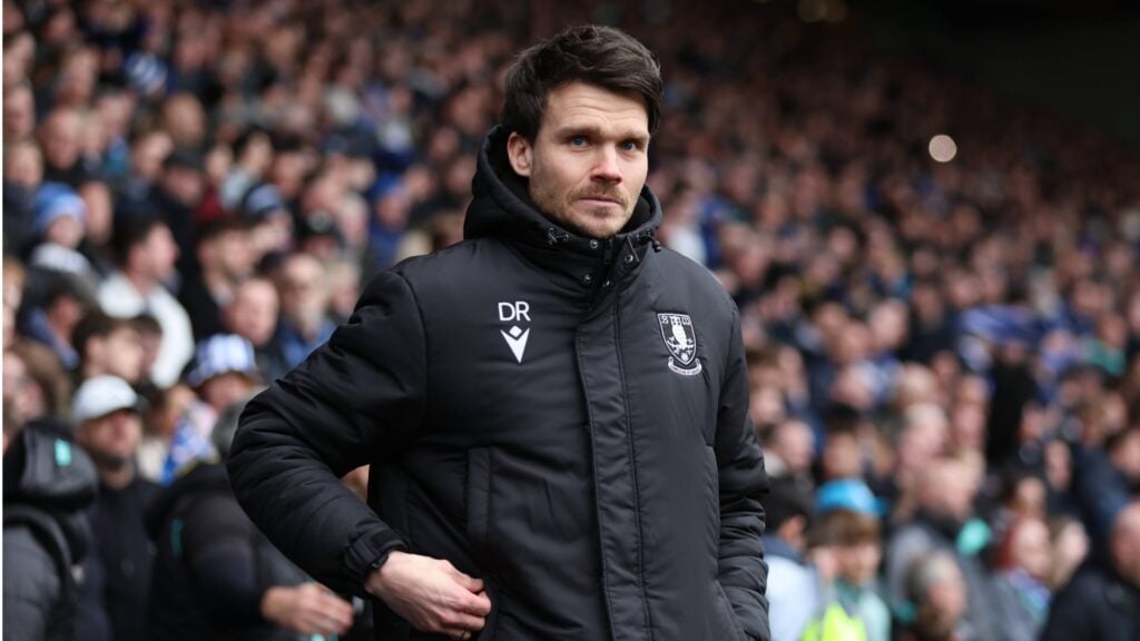 Danny Rohl on the Sheffield Wednesday touchline