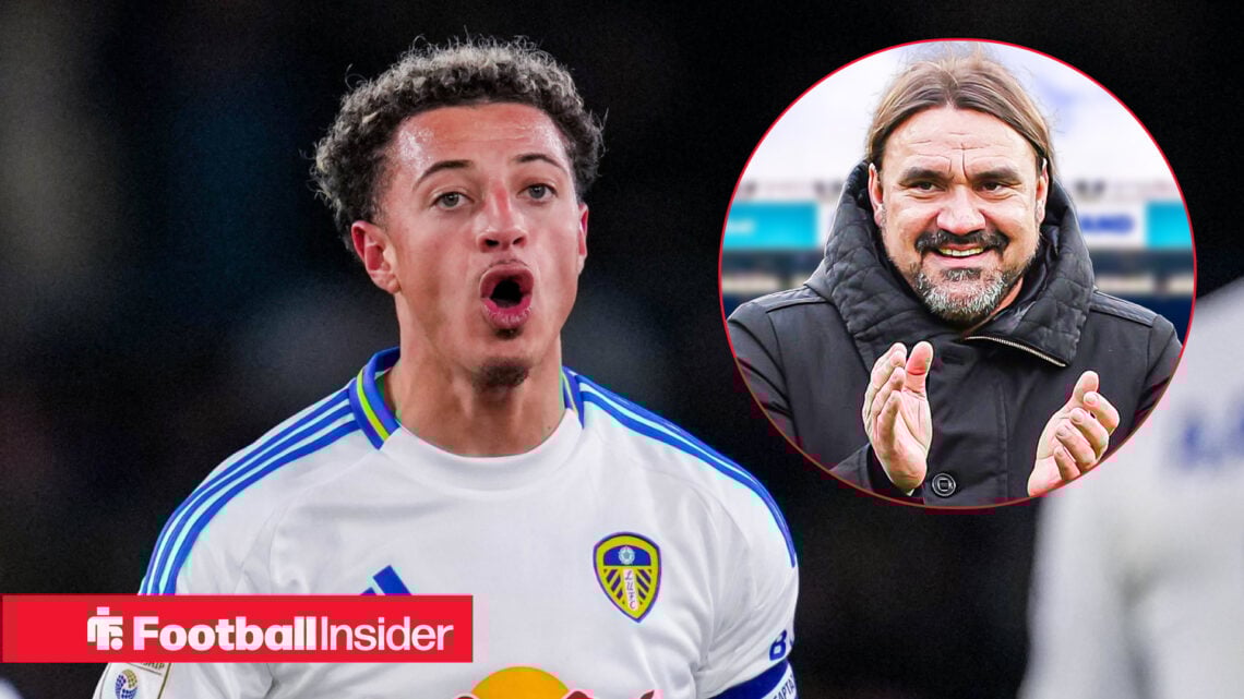 Ethan Ampadu, Daniel Farke