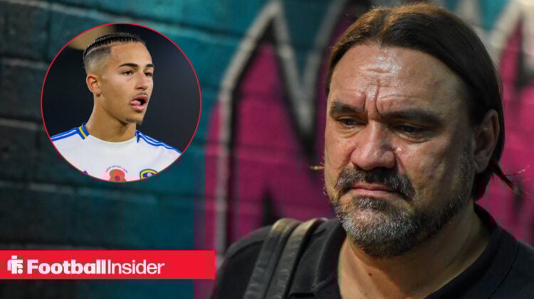 Leeds striker Mateo Joseph, Daniel Farke