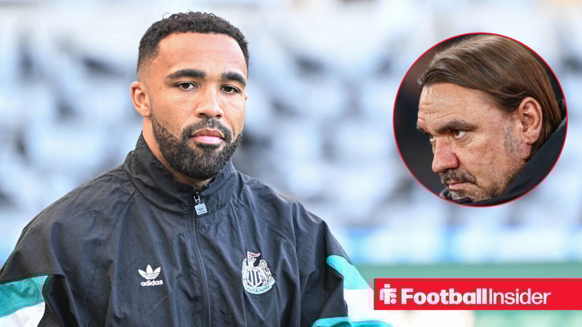 Callum Wilson, Daniel Farke
