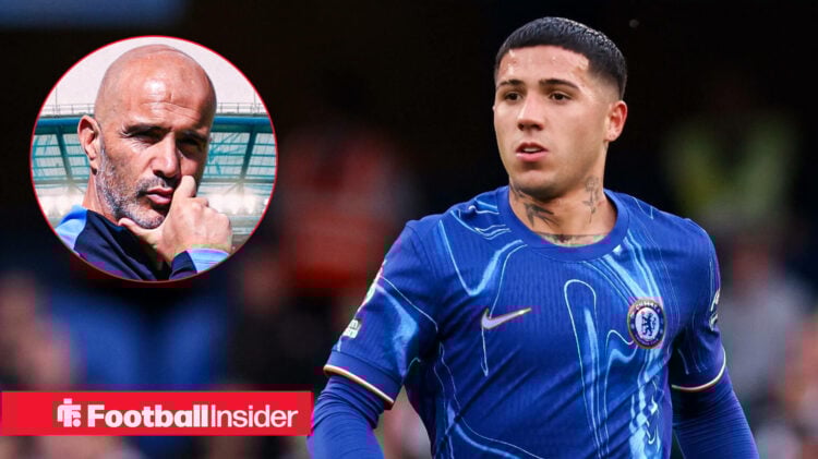Fernandez, Maresca