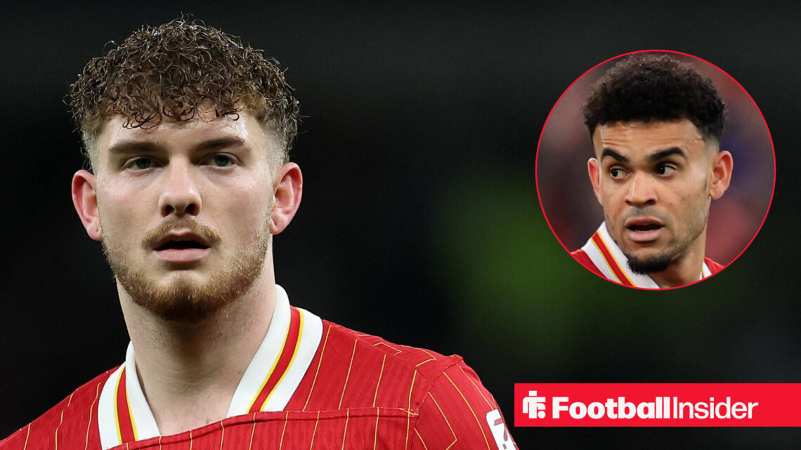 Harvey Elliott in a Liverpool home shirt alongside a head shot of Luis Diaz.