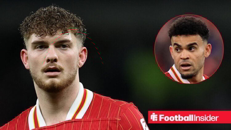 Harvey Elliott in a Liverpool home shirt alongside a head shot of Luis Diaz.