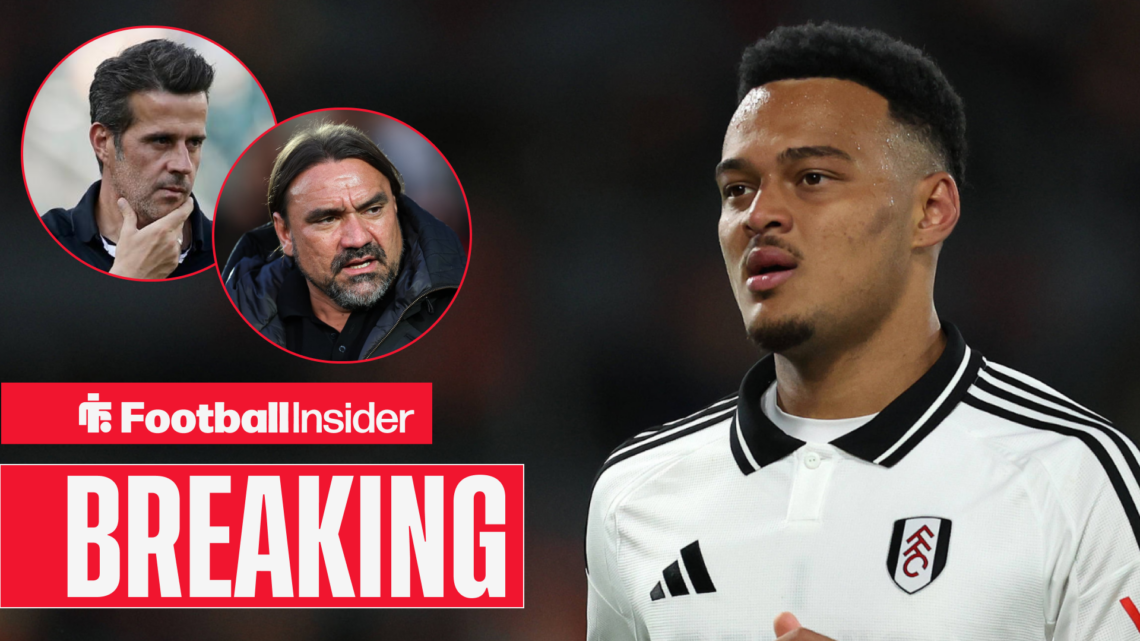 Rodrigo Muniz Marco Silva Daniel Farke, Fulham Leeds