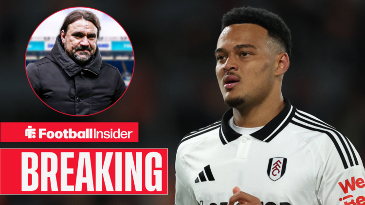 Rodrigo Muniz, Daniel Farke, Fulham, Leeds United