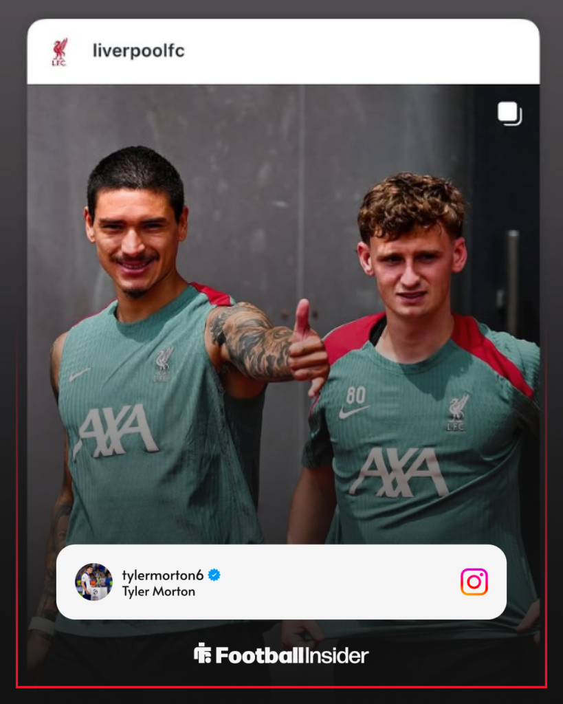 Liverpool, Tyler Morton, Darwin Nunez