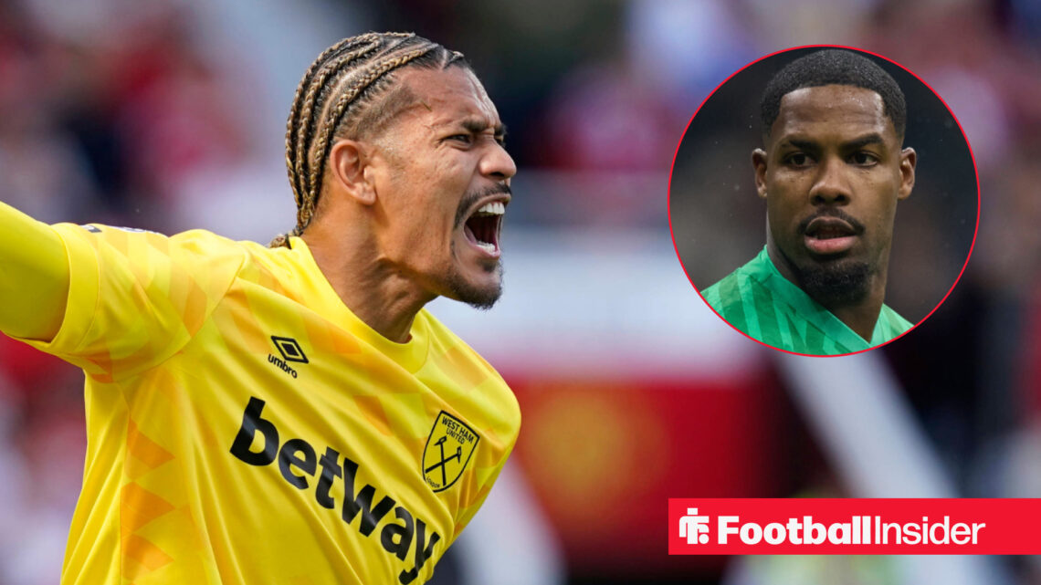 Alphonse Areola Mike Maignan West Ham