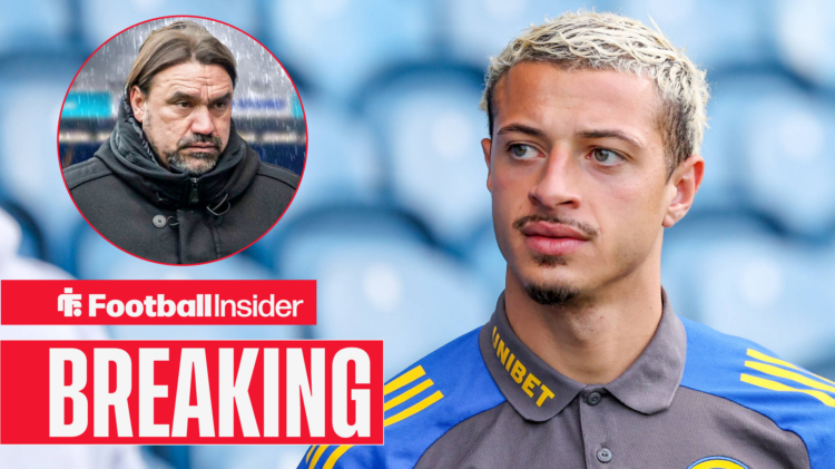 Ethan Ampadu in a Leeds kit, Daniel Farke sad in a circular inset