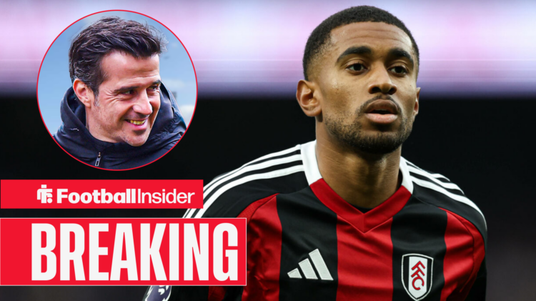 Reiss Nelson, Marco Silva, Fulham